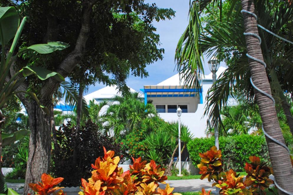 Paradise Island Beach Club Ocean View Villas Creek Village Exteriér fotografie